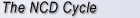 The NCD Cycle