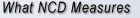 What NCD Measures